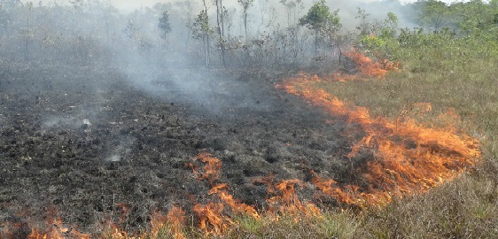 Nasa reforça o alerta para o risco de incêndios na Amazônia